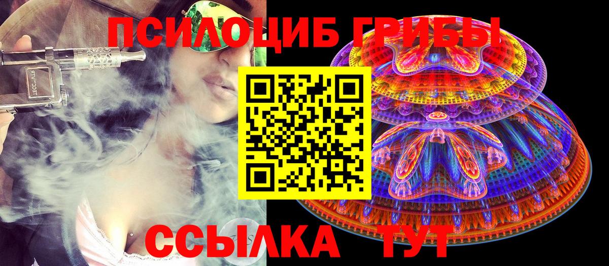 Псилоцибиновые грибы прущие грибы  Вход с VPN  Асино  Галлюциногенные грибы Psilocybe 
